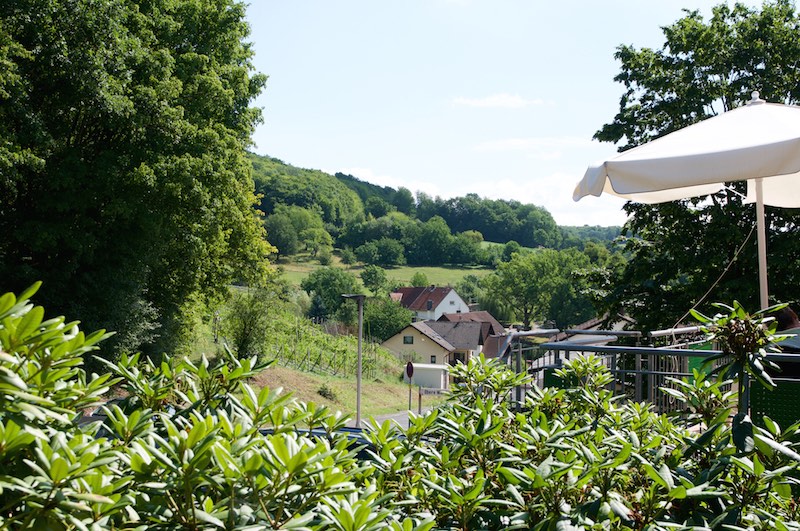 Weinberg in Wingershausen