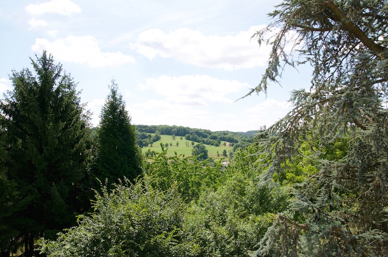 Ausblick über die Felder Richtung Eichelsdorf